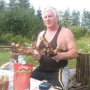 Георгий Гаврилов, 79 лет, Белгород