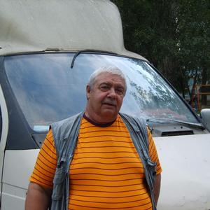 Михаил Волков, 70 лет, Ульяновск