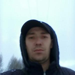Александр, 33 года, Щекино
