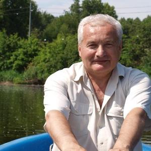 Василий Гришин, 61 год, Краснознаменск