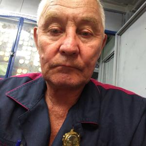 Валерий Кузнецов, 73 года, Набережные Челны