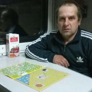 Сергей Некрушец, 52 года, Сыктывкар