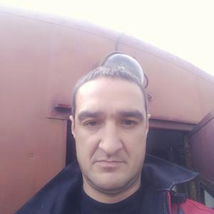 Дмитрий, 43 года, Советский