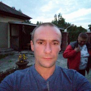 Руслан, 45 лет, Павловский Посад