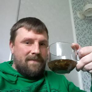 Иван, 42 года, Калининград