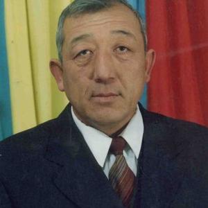 Азиз, 66 лет, Дзержинский