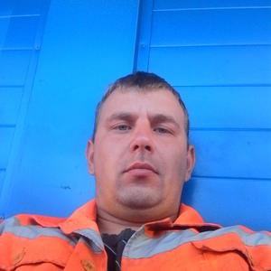 Сергей, 39 лет, Тосно