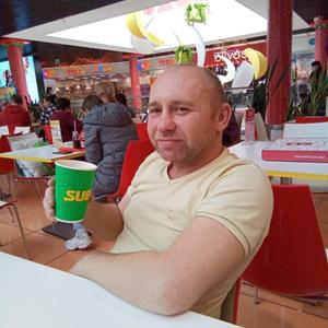 Александр Почевалов, 44 года, Таганрог