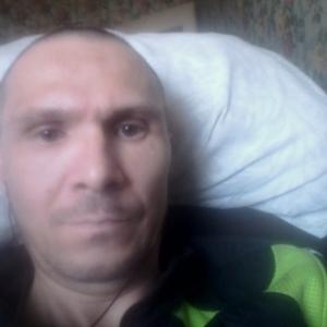 Дмитрий, 42 года, Тихвин