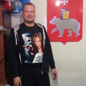Владимир Викторович, 47 лет, Пермь