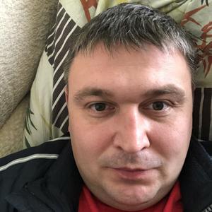 Дмитрий, 41 год, Видное