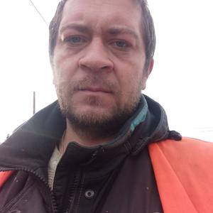 Юрий, 38 лет, Руза