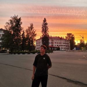 Stepan, 20 лет, Новодвинск