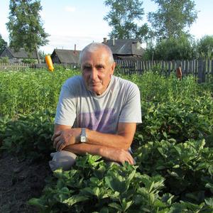 Александр Пасынков, 80 лет, Нижний Новгород