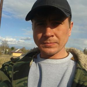 Сергей, 39 лет, Кириши