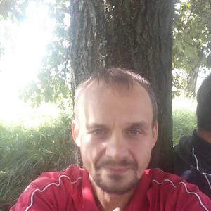 Сергей, 46 лет, Электросталь