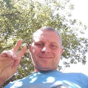 Андрей, 44 года, Новомосковск