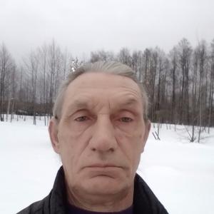 Парни в Электрогорске: Анатолий, 58 - ищет девушку из Электрогорска