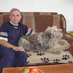 Павел Горбачёв, 69 лет, Новокузнецк