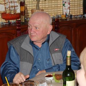 Виктор, 72 года, Ростов-на-Дону