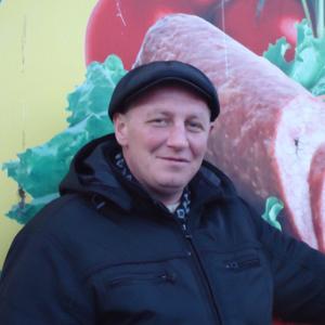 Александр Верхотурцев, 44 года, Бийск