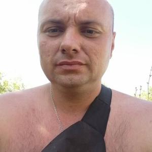 Евгений Шкурин, 37 лет, Краснодар