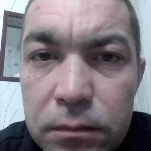 Сергей, 41 год, Новочебоксарск