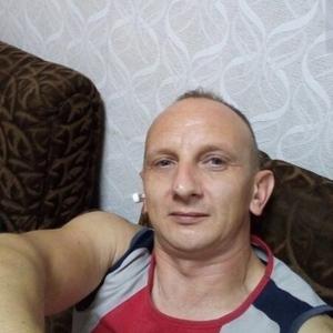 Алексей, 42 года, Витебск