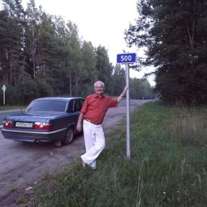Парни в Пскове: Владимир, 67 - ищет девушку из Пскова