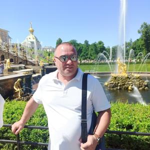 Николай, 49 лет, Подольск