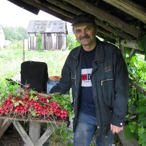 Сергей, 70 лет, Брянск