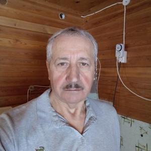 Андрей, 65 лет, Иркутск