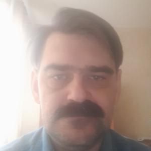 Игорь, 46 лет, Мытищи
