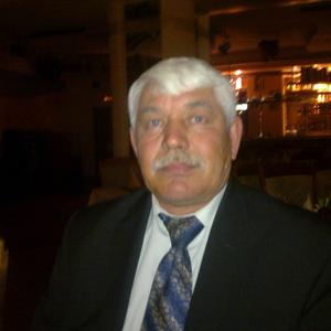 Николай, 69 лет, Ульяновск