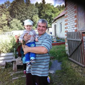 Владимир, 63 года, Навля