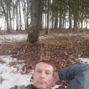 Вадим, 51 год, Щекино
