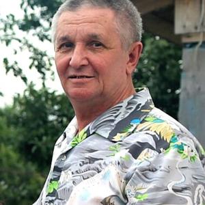Анатолий, 68 лет, Рязань