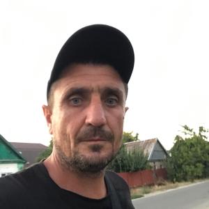 Виктор, 38 лет, Краснодар