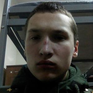 Илья, 25 лет, Боровичи