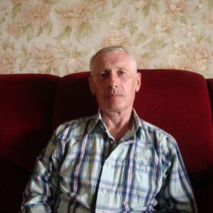 Владимир, 64 года, Кемерово