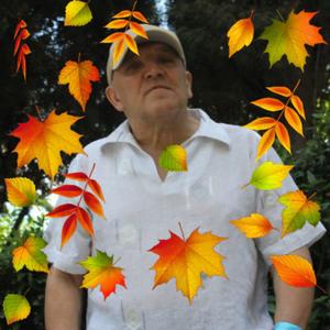 Василий, 71 год, Сургут