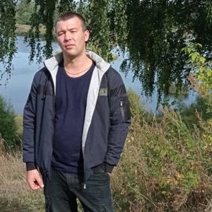 Сергей, 30 лет, Шуя