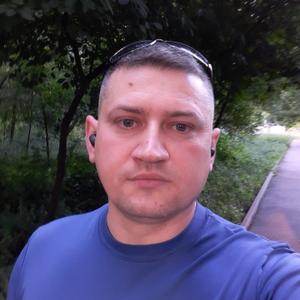 Алекс, 32 года, Житомир