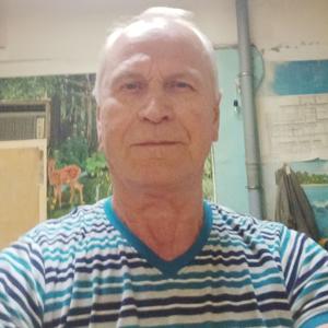 Николай, 63 года, Мичуринск