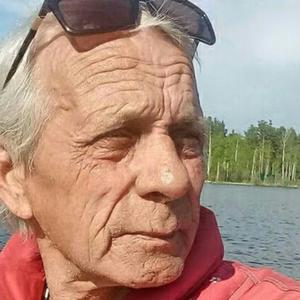 Анатолий Дмитриевич, 72 года, Санкт-Петербург