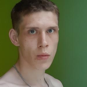 Николай, 28 лет, Буй