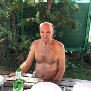 Евгений, 66 лет, Омск