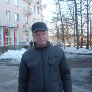 Владимир, 69 лет, Псков