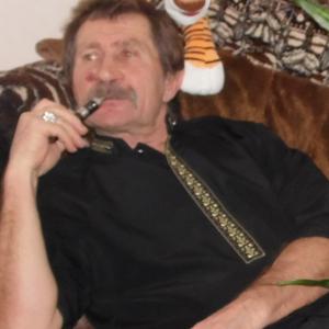 Пётр Степницкий, 68 лет, Оренбург
