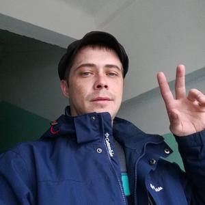 Николай, 37 лет, Череповец